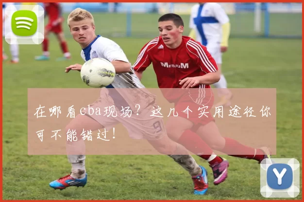 在哪看cba现场？这几个实用途径你可不能错过！