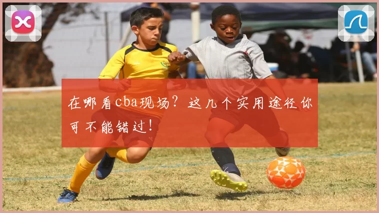 在哪看cba现场？这几个实用途径你可不能错过！