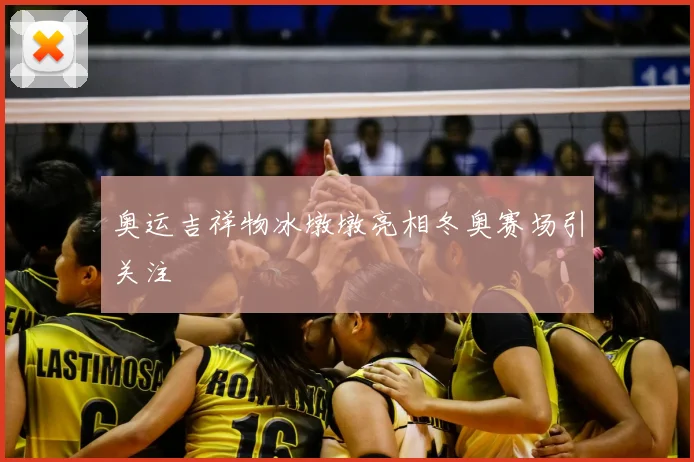 奥运吉祥物冰墩墩亮相冬奥赛场引关注