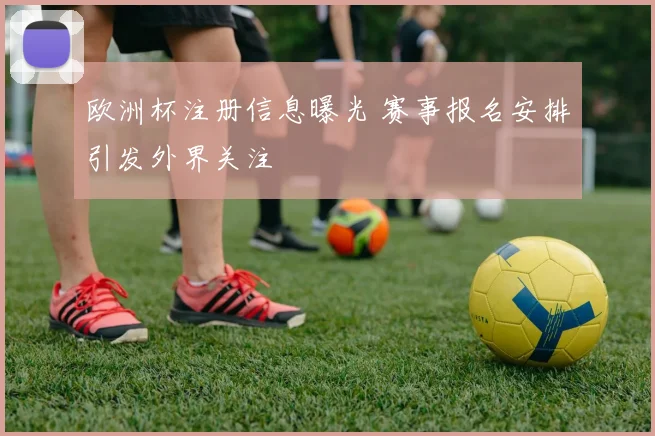欧洲杯注册信息曝光 赛事报名安排引发外界关注